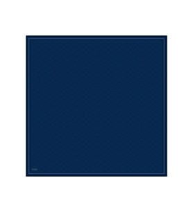 Belli % 100 Twill İpek Eşarp 4055DM 12