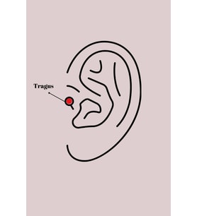 316L Çelik Gümüş Renk Zirkon Taşlı Çiçek Tragus Piercing TJ-PR1277