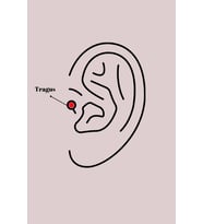 316L Çelik Gümüş Renk Zirkon Taşlı Çiçek Tragus Piercing TJ-PR1277