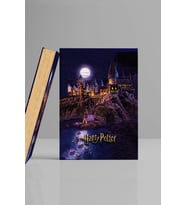 Kitap Görünümlü Dekoratif Kutu Harry Potter 16,5x24,5 Cm Lisanslı Hogwarts Binası