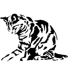 KEDİ FOLYO STİCKER 160cm Uzunluk