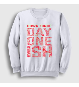 Presmono Unisex Beyaz Day One Ish V2 Wwe Güreş The Usos Sweatshirt 525642tt (Beyaz)