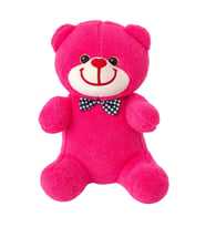 Peluş Ayıcık