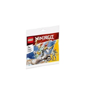 Lego 30649 Ice Dragon Creature (Çok Renkli)