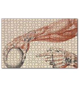 Cakapuzzle İnsan Anatomisi El Ve Kol Bilye Görseli Puzzle Yapboz MDF (Ahşap) (120 Parça)