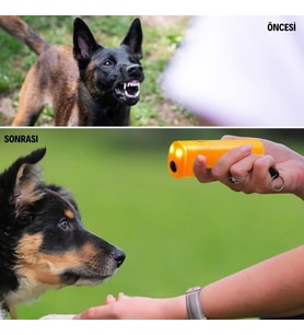 OLLEVRA Köpeksavar Ultrasonik Köpek Kovucu Köpek Kornası Eğitim Cihazı