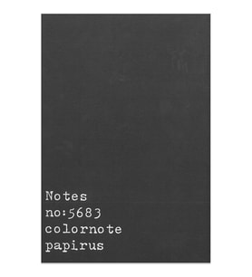 PAPİRÜS NOTES TERZİ DİKİŞ KARTON KAPAK 16X23 56YP. KARELİ DEFTER