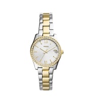 Fossil FES4319 Kadın Kol Saati