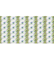 Solo Islak Havlu Mendil 50 Yaprak Limon & Biberiye (36 Lı Set) (12PK*3) 1800 Yaprak