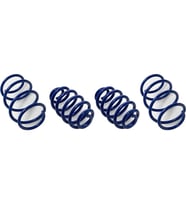 BMW E46 Helezon Yayı Set 4ad Mavi Sport 31331093065 Wender