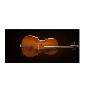 Valencia CE160G14 Çello 1/4 German Style (Öğrenci) Küçük Boy - Hafif Kılıf - Kolay Çalım