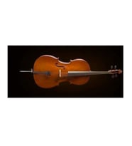 Valencia CE160G14 Çello 1/4 German Style (Öğrenci) Küçük Boy - Hafif Kılıf - Kolay Çalım