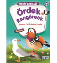 Ördek Rengarenk - Danışmak / Hadis Bahçesi 8