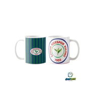 Çaykur Rizespor Kupa Bardak Tek Adet K0383