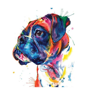 Renkli Boxer Çerçeveli 60x75 Sayılarla Boyama Hobi Seti
