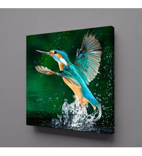 RENKLİ KUŞ KANVAS TABLO 30x30cm (Karışık)