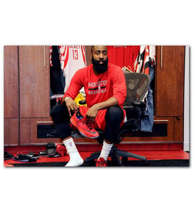 Cakatablo James Harden Houston Basketbolcu