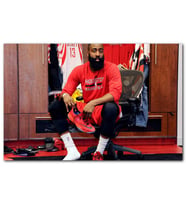 Cakatablo James Harden Houston Basketbolcu