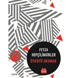 Öyküyü Okumak