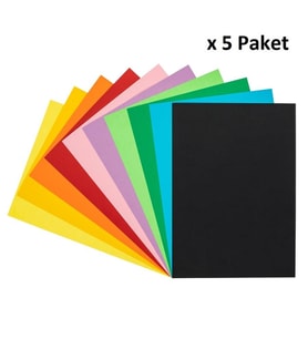 Bigpoint Fon Kartonu 25x35cm 120 Gram Karışık 10 Renk x 5 Paket
