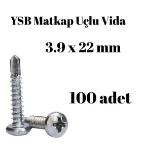 Yıldız Silindir Başlı 3.9x22 YSB Matkap Uçlu Akıllı Vida 100 Adet