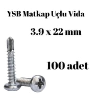Yıldız Silindir Başlı 3.9x22 YSB Matkap Uçlu Akıllı Vida 100 Adet