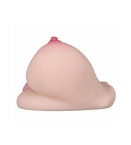Gerçekçi Göğüs ve Va*jina Mastürbatör – Yumuşak Silikon, Çift Kanallı, 2.3 Kg