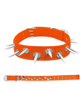 Dokuma Çivili Köpek Boyun Tasması - 5*80 cm - Turuncu