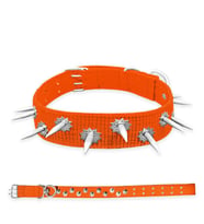 Dokuma Çivili Köpek Boyun Tasması - 5*80 cm - Turuncu