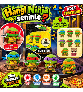 1020345 3D FİGÜR N TURTLES BUDDIES SÜRPRİZ PAKET NINJ 36D (adet fiyatıdır)