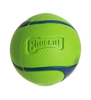 Chuckit! Sniff Fetch Fıstık Ezmesi Kokulu Köpek Oyun Topu (Orta Boy)