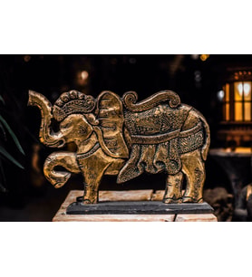 Ornamented Elephant
