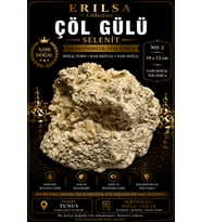 Sertifikalı Beyaz Çöl Gülü Selenit Taşı Kütle - 19x13 cm Koleksiyonluk Doğal Tek Parça