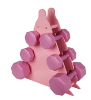 PSSPOR 3 Set Pembe Renk Dambıl Seti + Stand ( 2 Adet 1KG - 2 Adet 2KG - 2 Adet 3KG + Stand )