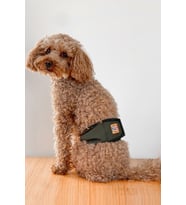 Salya Store Köpek Çiş Bezi Erkek Köpekler Için Külot Haki Kl-104