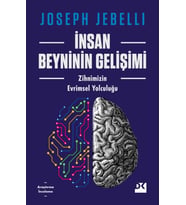 İnsan Beyninin Gelişimi