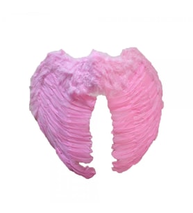 Melek Kanadı Kostümü Pembe