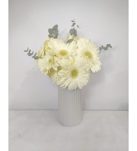 Beyaz Çizgili Polimer Vazoda Beyaz Gerbera Çiçekleri
