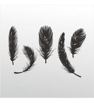 Folyo Sticker Tüy 160cm Uzunluk (Karışık)