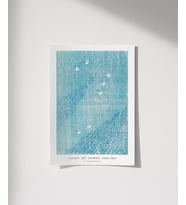 Çerçevesiz Poster Yatsuo No Tsubaki Vintage Baskı No 2 (Çok Renkli)