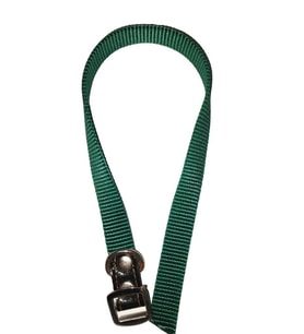 Lovely Köpek Boyun Tasma 1,5cm-40cm YEŞİL