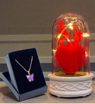 Led Işıklı Tasarımlı Fanus ve Kelebek Kolye Hediye Seti (Model 3)