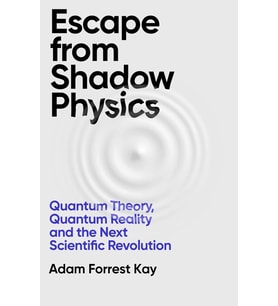 Escape From Shadow Physics: Quantum Theory, Quantum Reality And The Next Scientific Revolution