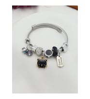Pandora Model Çelik Kedicik Charmlı Bileklik