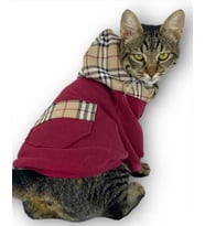 Bb Limited Bordo Duo Kapşonlu Kedi Sweatshirt