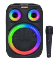 ROSE MS-2047-BT Bluetooth ve USB Girişli 8 İnch Şarjlı Işıklı Hoparlör (Siyah)