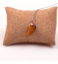 Kaplan Gözü Taşı Kanat Kolye