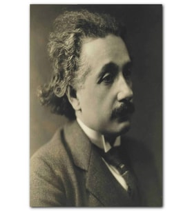 Cakatablo Albert Einstein Hüzünlü Görünüş Portre MDF Tablo
