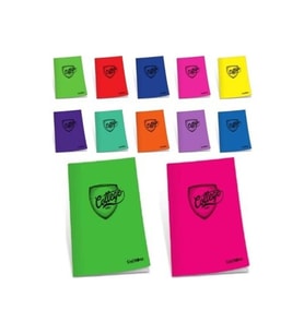 Çınar Plastik Kapak Defter College Dikişli A5 40 Yaprak Kareli 40/4 (12 Li Paket) (Karışık)
