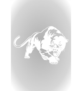 Panter Tasarım Oto Cam Sticker Beyaz 30 Cm